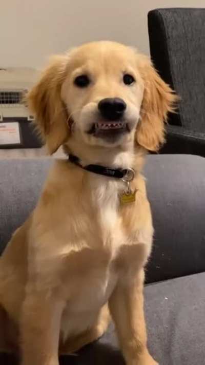 Cuuute