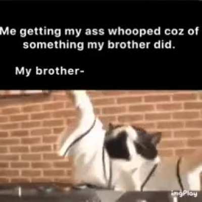 You lil shit.