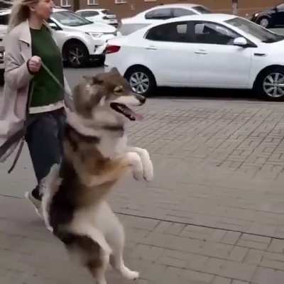 Fuck being normal