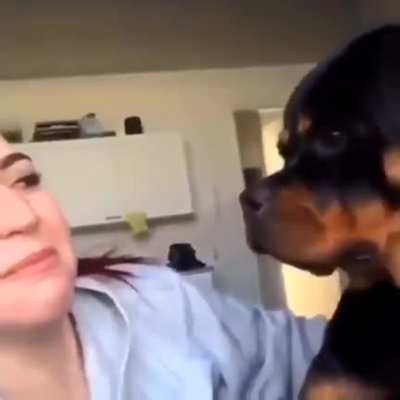 Now I want a dog