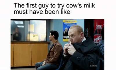 curiosity killed the calf