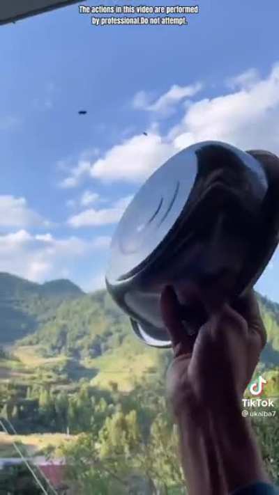 Wasp go "donnng"