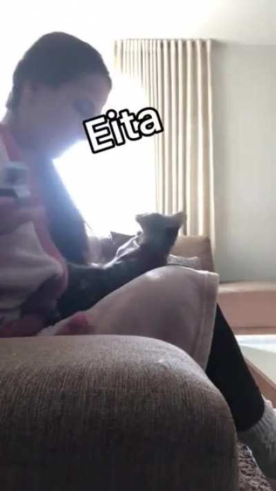 "I was giving medicine for my kitty until ..." (not mine)