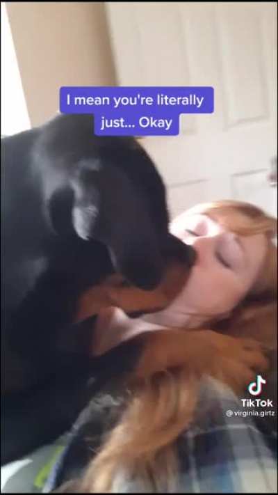 Dog: "The lady doth protest too much"