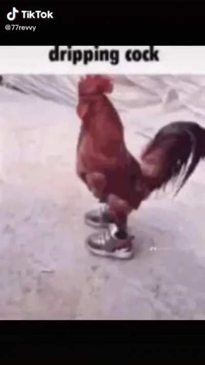 unusual videos from my hunted phone :///