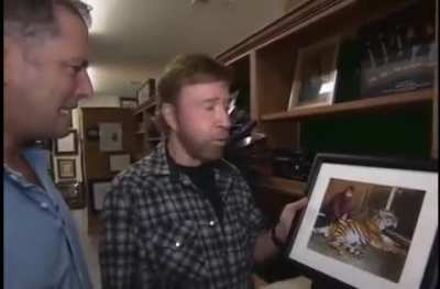 Chuck Norris and Tiger.