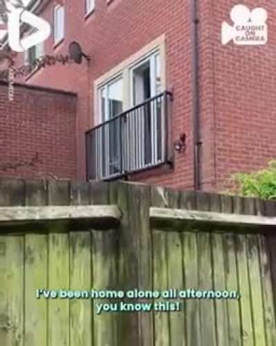This is GOLD.