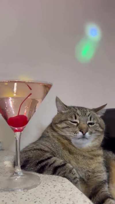 Who is joining the party? ?