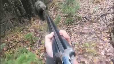 Man holds back from shooting mama bear that charges him 3 times