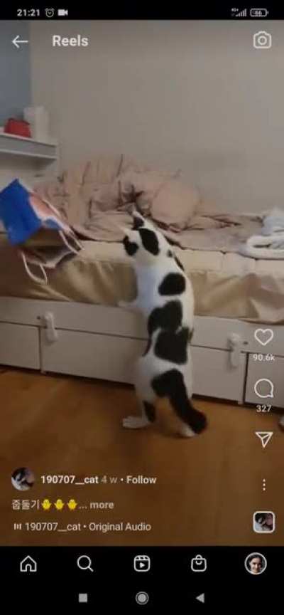 Attempting to steal a bag, backfires
