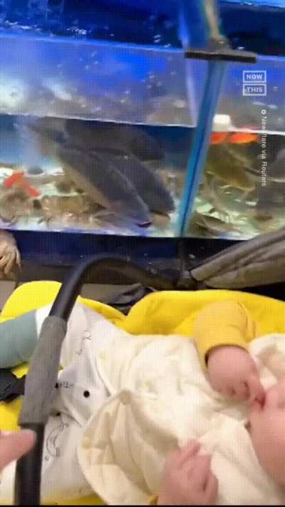 "Listen kid, I don't have much time..."