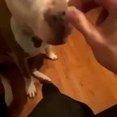 No jelly beans for you