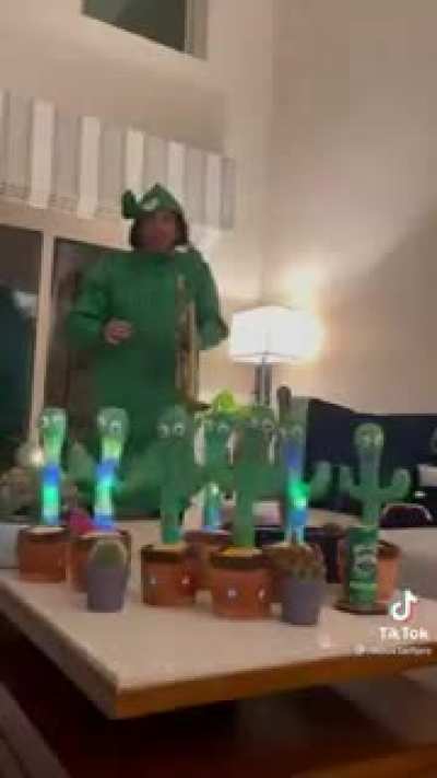 Dancing, giggling cacti ?