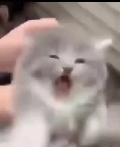 Yes???