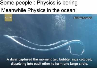Physics is beautiful