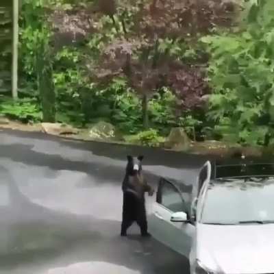 ? This isn't where I parked my car.