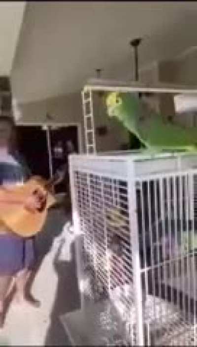 These guys are back!