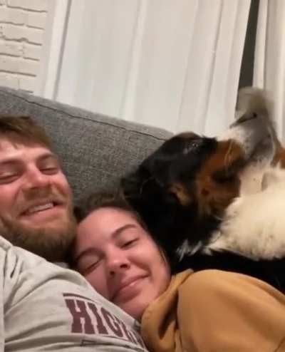 "I don’t think you guys see me... here I am, pet me!”