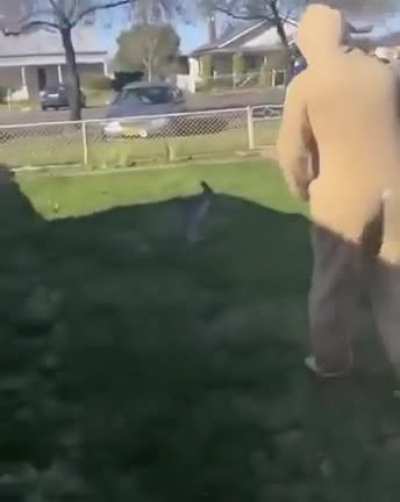 Only in Australia