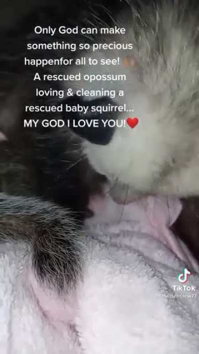 Foster parenting