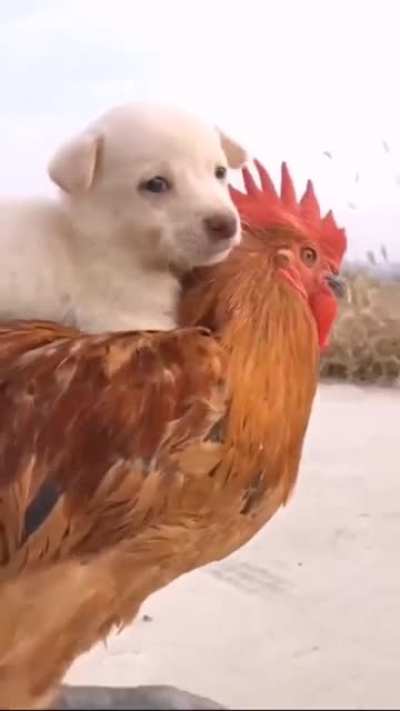 Best friends! ??