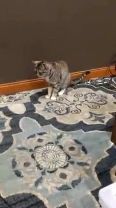 What's THAT