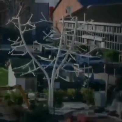 Wind turbine is designed like a tree to generate sustainable electricity.