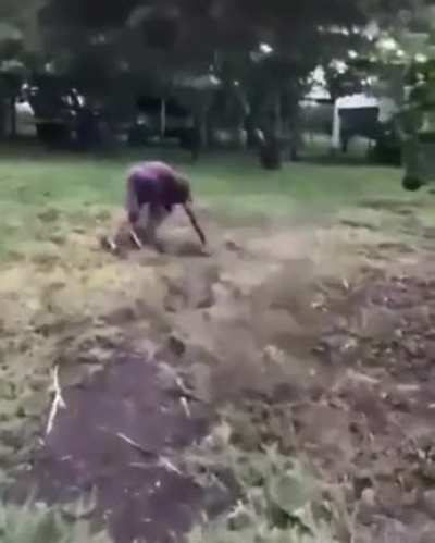 Shit happens