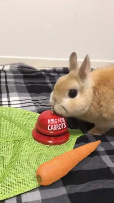 Ring for carrots