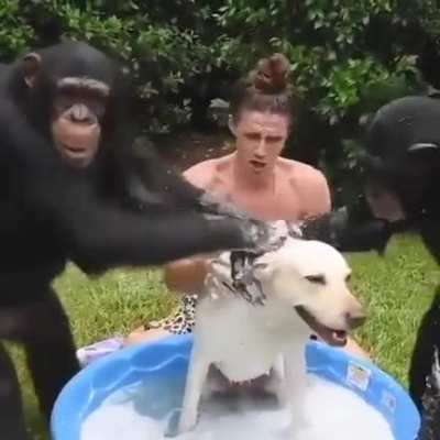 bath time