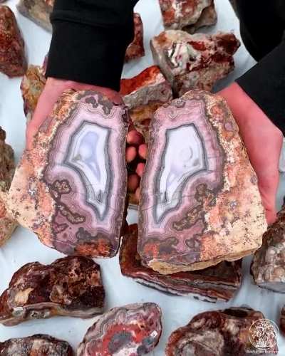 ? Opening Agates to Reveal the Beauty Within ?✨