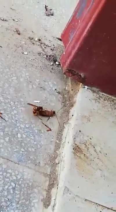 Double kill