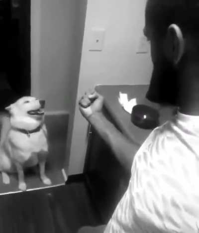 How dare you.