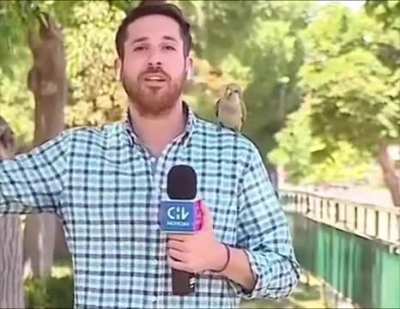 Wait for it.. ?