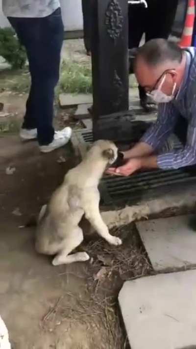 This guy just handed a drink of water for this pupper . This is called "HUMANITY" .