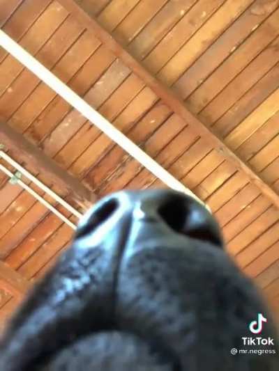 Long