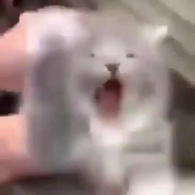 Not happy