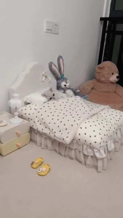 Bedtime ?
