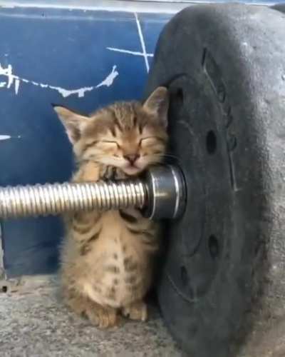 My kind of workout
