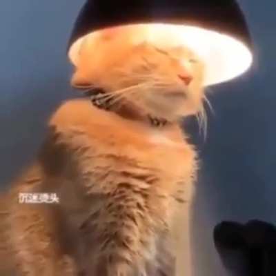You wouldn’t understand a higher being like me