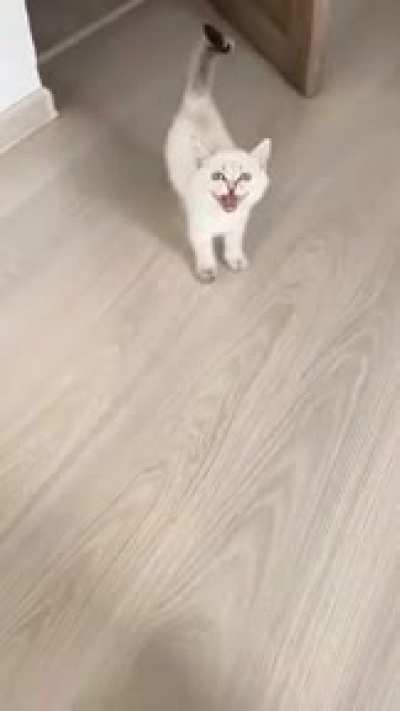 aaaaa... A҉҉̦̣̤͔̟̩̋̿̏ͦ̈́̍͟͠A҉҉̦̣̤͔̟̩̋̿̏ͦ̈́̍͟͠A҉҉̦̣̤͔̟̩̋̿̏ͦ̈́̍͟͠A҉҉̦̣̤͔̟̩̋̿̏ͦ̈́̍͟͠A҉҉̦̣̤͔̟̩̋̿̏ͦ̈́̍͟͠A҉҉̦̣̤͔̟̩̋̿̏ͦ̈́̍͟͠