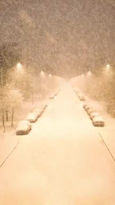 How the snow falls