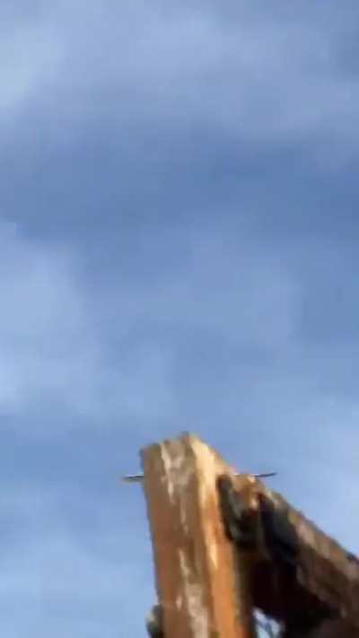 ? This pigeon descending.
