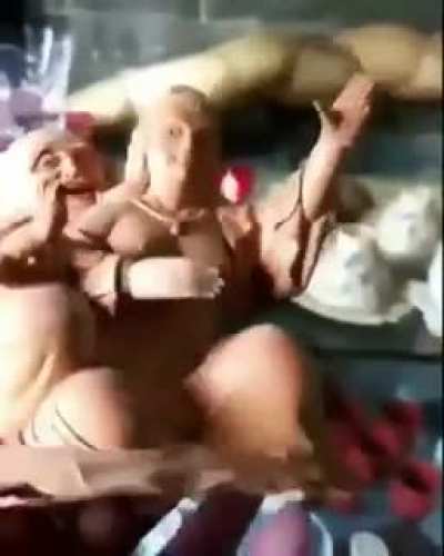 Oopsss
