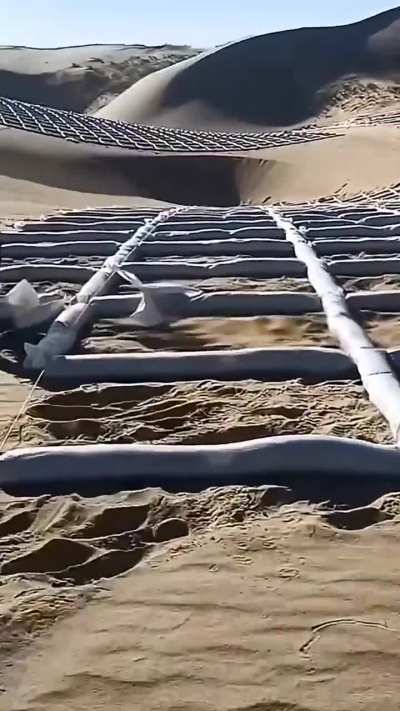 Stopping Desertification with grid pattern