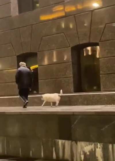 Not sure if these count as Zoomies...