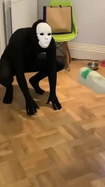 Sorry if this is a repost