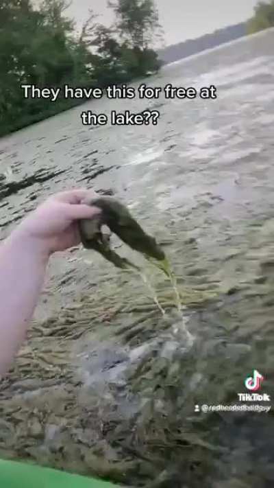 Oh fuck no