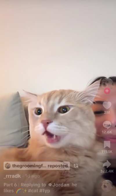 Gal &amp; Cat Sing A Duet Of Somewhere Over the Rainbow ??