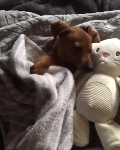 Tucking himself in